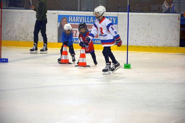 DSC_0037_202509_202509.jpg
