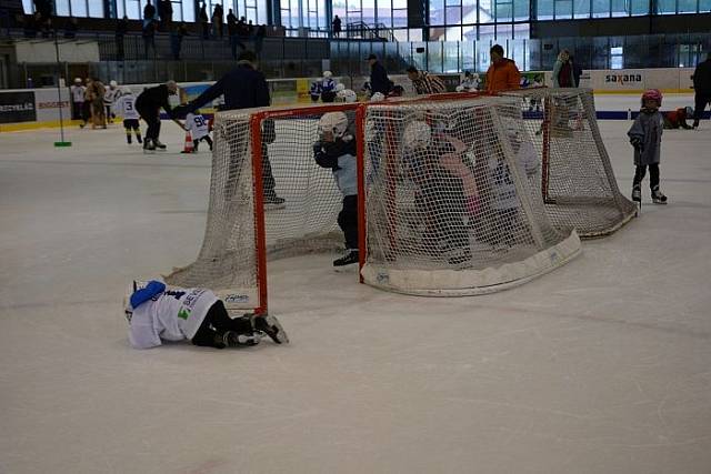 DSC_0103_202509_202509.jpg