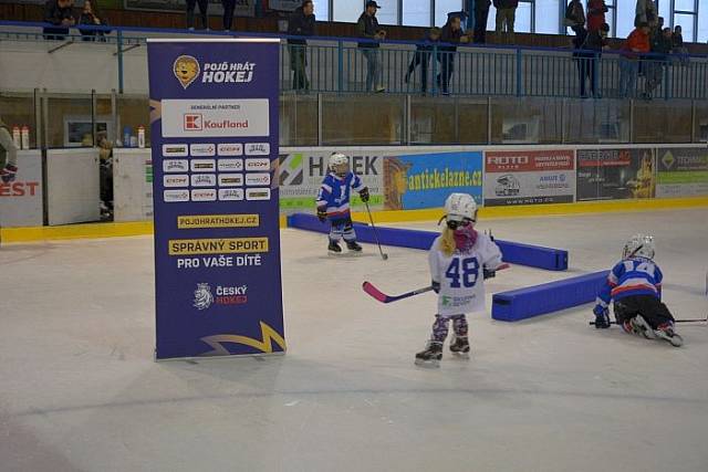 DSC_0116_202509_202509.jpg