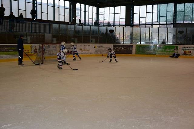 DSC_0074_202509_202509.jpg