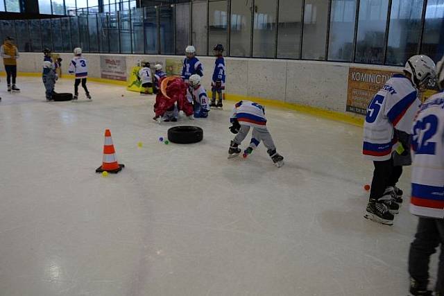 DSC_0098_202509_202509.jpg